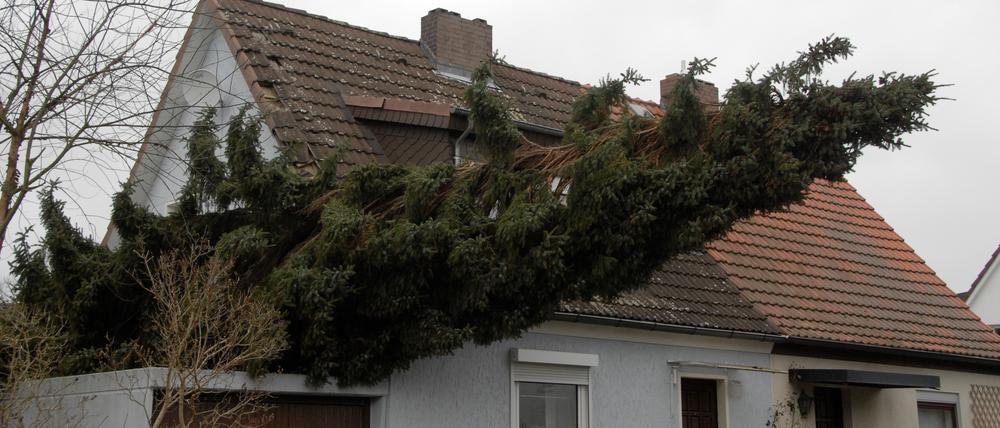 Eine Fichte hat sich im Stadtteil Lankwitz auf die Garage eines Hauses gelegt. +++ dpa-Bildfunk +++