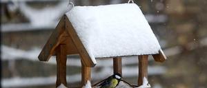 Harald Martenstein hat sich ein Haus in der Uckermark gekauft. Mit den kalten Temperaturen hatte er nicht gerechnet.