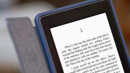 Ein E-Book.
