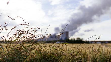 Das Kraftwerk Niederaußem von RWE gesehen von einem Feld bei Niederaußem aus. Die hohen Strompreise belasten derzeit die deutsche Industrie stark. Die verschärften Klimaziele von EU und Bundesregierung könnten für einen weiteren Schub sorgen. Themenbild, Symbolbild Niederaußem, 12.07.2021 *** RWEs Niederaussem power plant seen from a field near Niederaussem High electricity prices are currently placing a heavy burden on German industry The stricter climate targets set by the EU and the German government could provide a further boost Topic image, symbol image Niederaussem, 12 07 2021 Foto:xC.xHardtx/xFuturexImage 