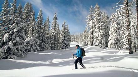 Wie der Winter einmal war. Mit Schneeschuhen im Niemandsland der Roßbrand-Kette im Salzburger Land.