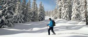 Wie der Winter einmal war. Mit Schneeschuhen im Niemandsland der Roßbrand-Kette im Salzburger Land.