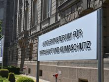 Während der Löwensuche in Berlin-Mitte: Experten entdecken Leguan am Bundeswirtschaftsministerium