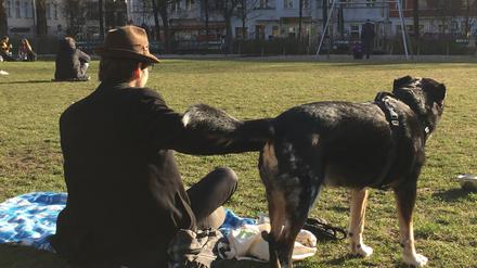 Aimer wohnt schon seit zehn Jahren im Kiez und kommt regelmäßig mit seinem Berner Sennenmix Bestiz zur Wiese auf den Boxhagener Platz. 