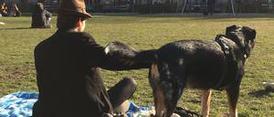 Aimer wohnt schon seit zehn Jahren im Kiez und kommt regelmäßig mit seinem Berner Sennenmix Bestiz zur Wiese auf den Boxhagener Platz. 