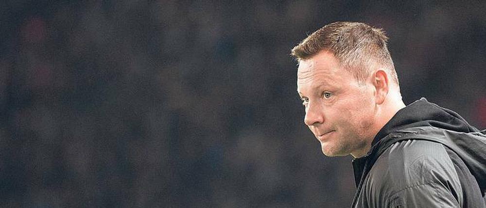 Wenig Auswahl. Pal Dardai muss weiter auf zahlreiche verletzte Profis verzichten, Wintertransfers soll es dennoch nicht geben.