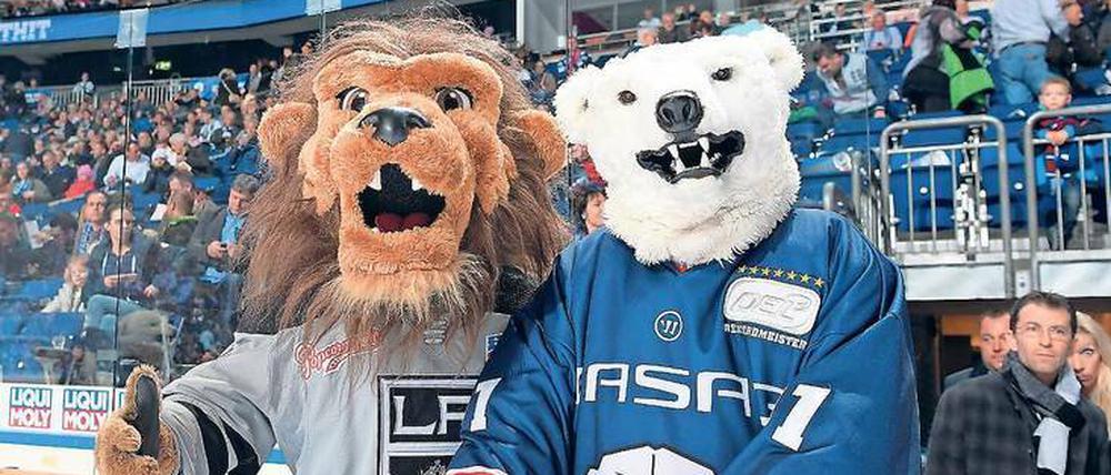 Männer als Maskottchen. Bailey von den Los Angeles Kings schaute bei seinem Berliner Kollegen Bully von den Eisbären Berlin vorbei und hatte so seinen seltsamen Spaß. 