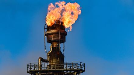 In der PCK-Raffinerie GmbH wird überschüssiges Gas in der Rohölverarbeitungsanlage verbrannt. Die Versorgung der Erdölraffinerie PCK in Schwedt mit Rohöl aus Russland über die Pipeline «Freundschaft» läuft nach Angaben des Unternehmens aktuell zuverlässig und ohne Probleme. Der russische Energiekonzern Rosneft hatte im vergangenen Jahr einen Großteil der Erdölraffinerie PCK in Schwedt übernommen. Mehr als 1100 Menschen arbeiten in der Raffinerie. Dort endet die Pipeline «Freundschaft» aus Russland, über die Deutschland nach Angaben der Raffinerie zu 25 Prozent mit Rohöl versorgt wird. Rosneft ist der größte russische Ölproduzent. Die Raffinerie in der Uckermark verarbeitet nach eigenen Angaben jährlich 12 Millionen Tonnen Rohöl und gehört damit zu den größten Verarbeitungsstandorten in Deutschland. Foto: Patrick Pleul/dpa-Zentralbild/ZB +++ dpa-Bildfunk +++