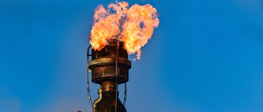 In der PCK-Raffinerie GmbH wird überschüssiges Gas in der Rohölverarbeitungsanlage verbrannt. Die Versorgung der Erdölraffinerie PCK in Schwedt mit Rohöl aus Russland über die Pipeline «Freundschaft» läuft nach Angaben des Unternehmens aktuell zuverlässig und ohne Probleme. Der russische Energiekonzern Rosneft hatte im vergangenen Jahr einen Großteil der Erdölraffinerie PCK in Schwedt übernommen. Mehr als 1100 Menschen arbeiten in der Raffinerie. Dort endet die Pipeline «Freundschaft» aus Russland, über die Deutschland nach Angaben der Raffinerie zu 25 Prozent mit Rohöl versorgt wird. Rosneft ist der größte russische Ölproduzent. Die Raffinerie in der Uckermark verarbeitet nach eigenen Angaben jährlich 12 Millionen Tonnen Rohöl und gehört damit zu den größten Verarbeitungsstandorten in Deutschland. Foto: Patrick Pleul/dpa-Zentralbild/ZB +++ dpa-Bildfunk +++