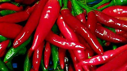 071003chili