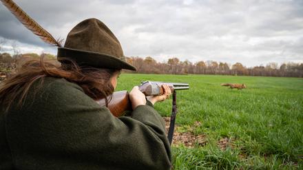 Anvisiert. In Brandenburg wird der Fuchs großflächig bejagt. Das diene der Bestandskontrolle, sonst würden sich die Tiere ungehindert vermehren, sagen die Jäger. Doch Tierschützer widersprechen. In Berlin ist zumindest das Fallenstellen verboten.