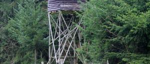Hochsitz Hungertod