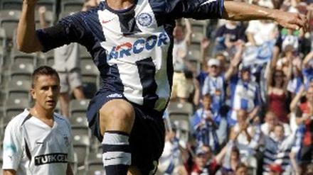 Dardai