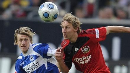 274912_3_Bayer_04.jpg