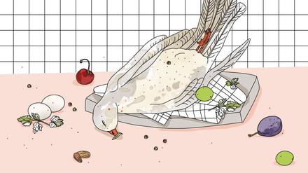 Illustration Taube von Suse Grützmacher.