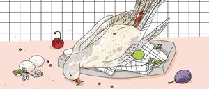 Illustration Taube von Suse Grützmacher.