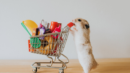 Hamsterkäufe müssen nicht sein: Sie verschärfen das Problem nur.