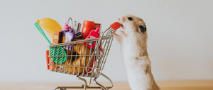 Hamsterkäufe müssen nicht sein: Sie verschärfen das Problem nur.