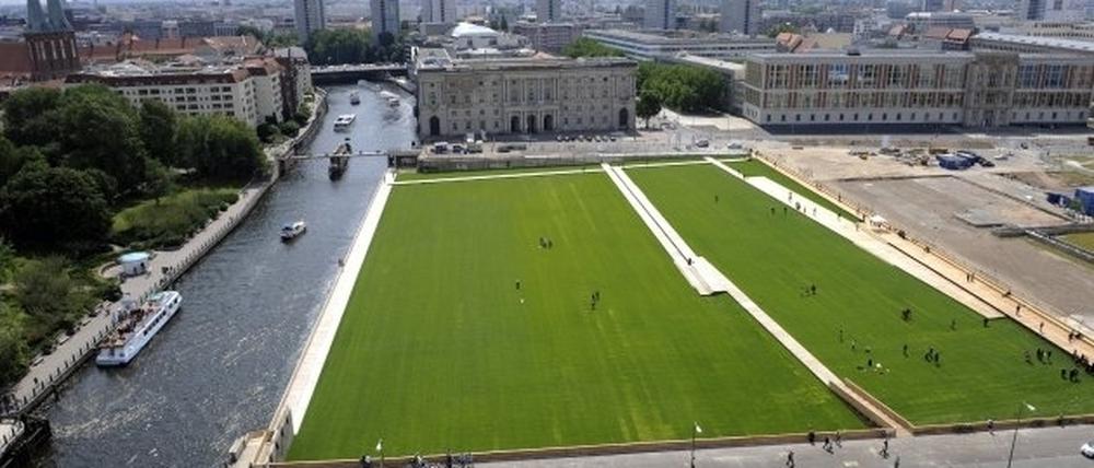 286806_3_Gras_drb_dpa.jpg