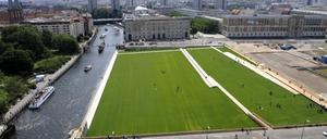 286806_3_Gras_drb_dpa.jpg