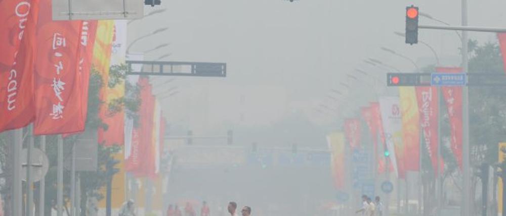 286398_0_fb88ed1e.jpg