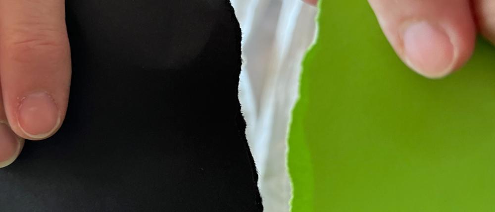 15 Jahre lang arbeiteten CDU und Grüne in einer Koalition im Rathaus Zehlendorf zusammen. Jetzt gehen sie getrennte Wege.