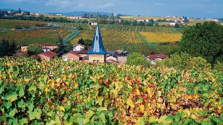Beaujolais