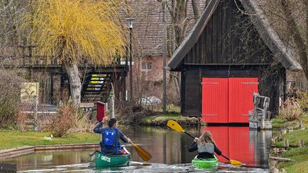 Der Spreewald ist ein Idyll, aber er verdunstet viel vom kostbaren Wasser.