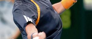 310590_0_e5aae57b.jpg