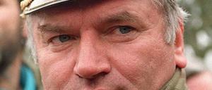 314095_0_c3ff9651.jpg
