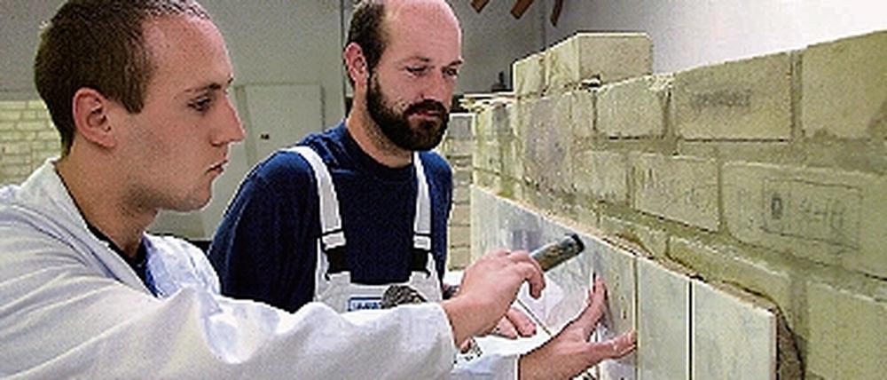 313762_0_5020ec98.jpg