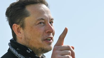 Elon Musk soll mit Wladimir Putin persönlich gesprochen haben.