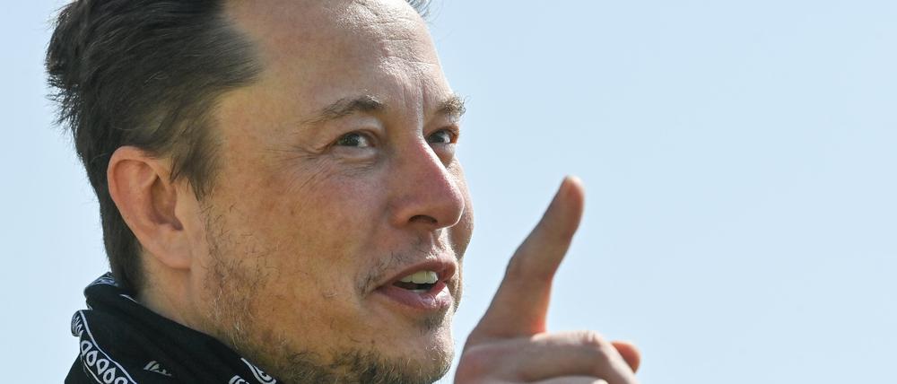 Elon Musk soll mit Wladimir Putin persönlich gesprochen haben.