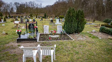 Berlin Spandau Islamischer Teil des Landschaftsfriedhof Gatow Spandau *** Berlin Spandau Islamic part of the landscape cemetery Gatow Spandau 