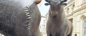 Bulle oder Bär? Steigen die Kurse oder fallen sie? Wer auf Zertifikate setzt, sollte sich festlegen, wie es mit den Kursen weiter geht. 
