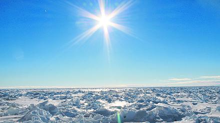 Für die Forschung ist die aktuelle Hitzewelle eine massive Wetteranomalie.