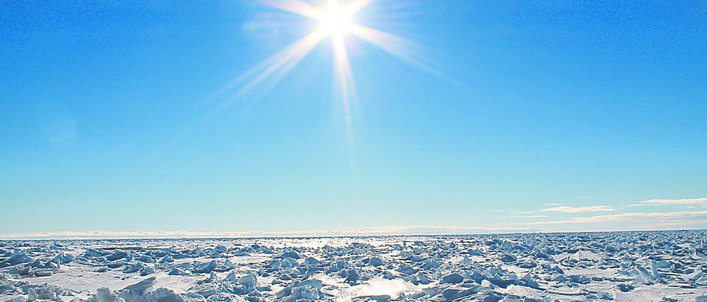 Für die Forschung ist die aktuelle Hitzewelle eine massive Wetteranomalie.