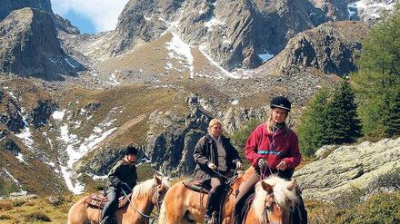 Mit Haflingern ins Gebirge: In Kärnten geht es bis auf 2000 Meter hohe Gipfel.