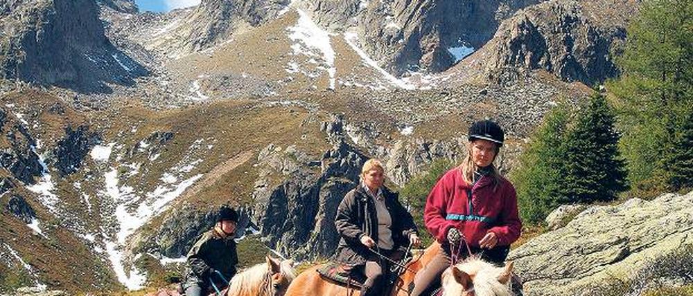 Mit Haflingern ins Gebirge: In Kärnten geht es bis auf 2000 Meter hohe Gipfel.