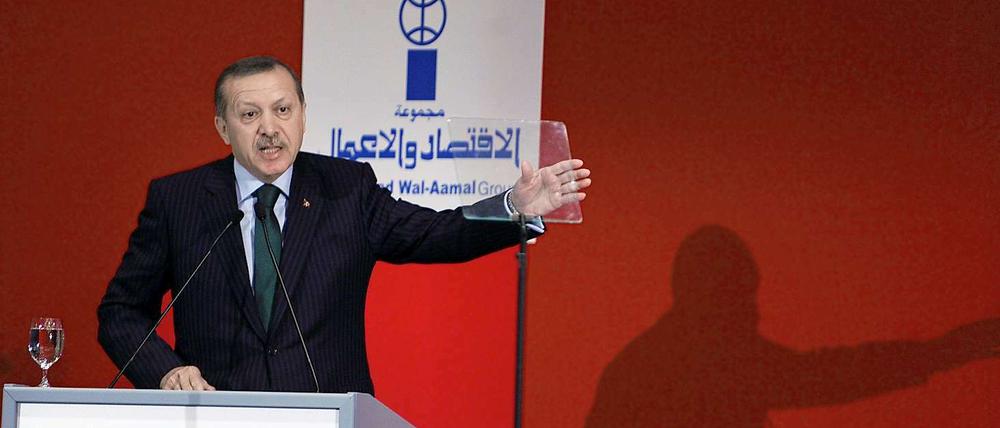 Der Ministerpräsident der Türkei, Recep Tayyip Erdogan, spricht auf einem Wirtschaftsforum in Istanbul. Die Türkei erhofft sich von dem Freihandelsabkommen Vorteile für den Export.