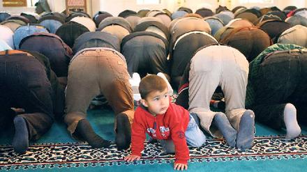 Religion als Richtschnur. Muslime beim Gebet in der Berliner Sehitlik-Moschee.