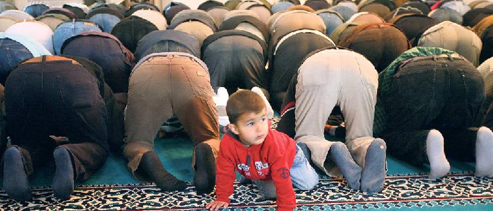 Religion als Richtschnur. Muslime beim Gebet in der Berliner Sehitlik-Moschee. 