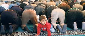 Religion als Richtschnur. Muslime beim Gebet in der Berliner Sehitlik-Moschee.