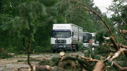 Mecklenburg-Vorpommern: Auf der B103 bei Ganzlin stürzten Äste auf die Fahrbahn. Mehrere Straßen mussten gesperrt werden.