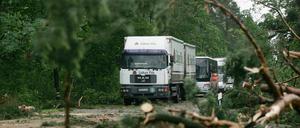 Mecklenburg-Vorpommern: Auf der B103 bei Ganzlin stürzten Äste auf die Fahrbahn. Mehrere Straßen mussten gesperrt werden.