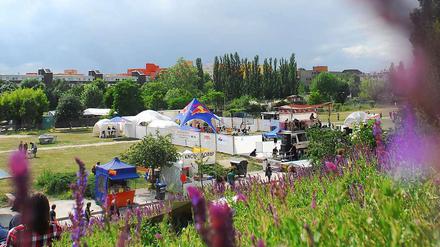 Wenn die Sonne scheint, kommen die Bands und verwandeln den Mauerpark auch mal in einen smoothen Soulclub. Musik und Kinderbauernhof geraten in Gefahr, fürchten die Aktivisten, wenn Wohnungseigentümer in die geplanten Neubauten eingezogen sind und ihre Ruhe wollen.