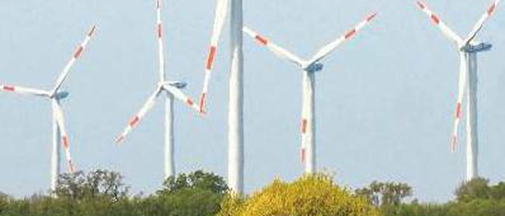 Luft raus. Den Branchenverband ärgert, dass die Bundesregierung offenbar gar nicht mehr so ehrgeizig ist bei ihrem Ziel, die Windkraft auszubauen. 