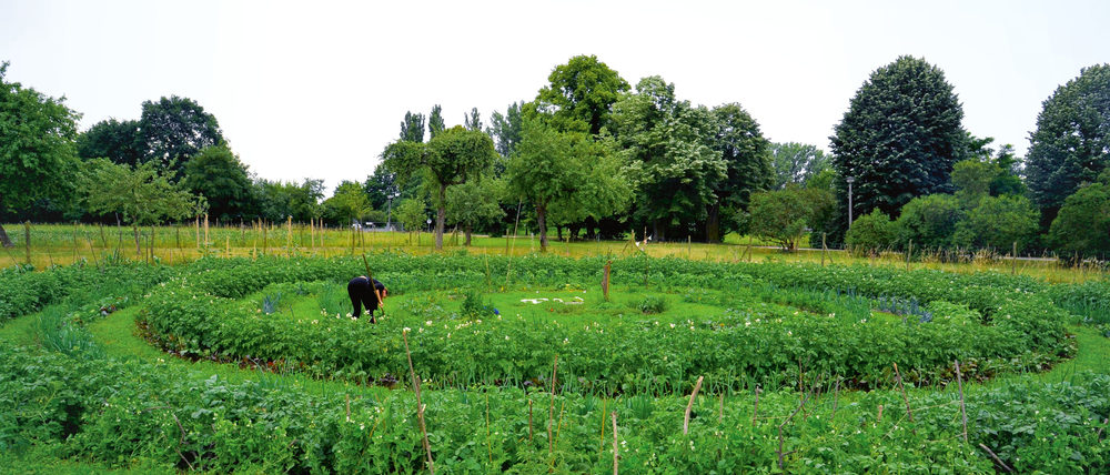 Der Bauerngarten auf dem Gelände Botanischer Volkspark Pankow-Blankenfelde an der Blankenfelder Chaussee in Berlin Pankow.