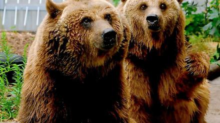 Dort, wo heute Maxi und Schnute leben, siedelten einst die ersten Berliner.