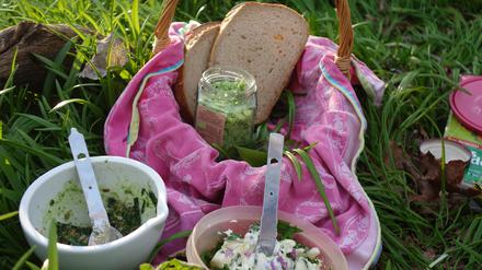 Pesto, selbst gemacht. Die auf der Kräutertour gesammelten Werke können gleich verarbeitet und genossen werden.